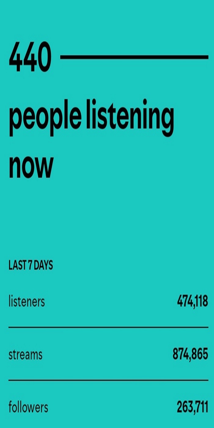 Spotify Campaign Result 1