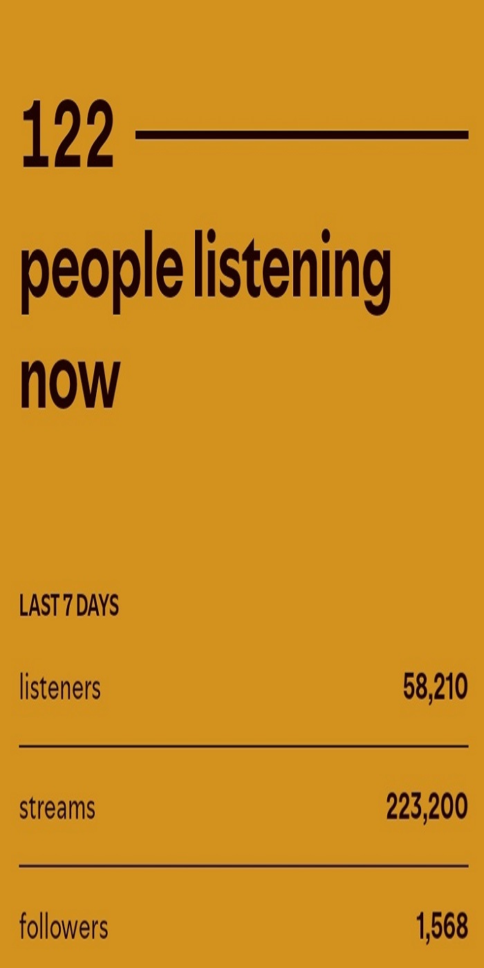 Spotify Campaign Result 2