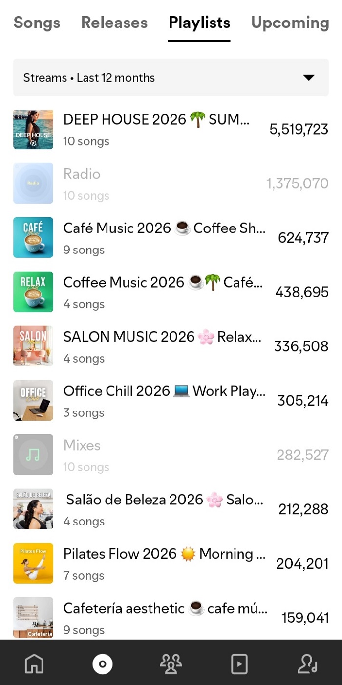 Spotify Campaign Result 3