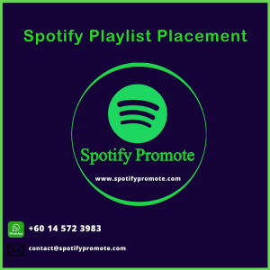 Spotify playlist placement for music artists